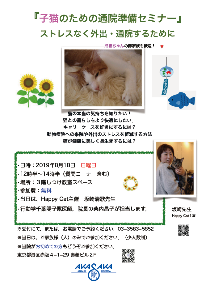 子猫のための通院準備セミナー